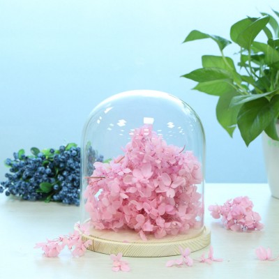 Display Glass Cover Flower Cloche Jar Dome with Wood Base Centerpieces Decor   323397468269